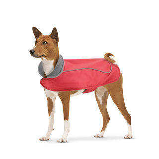 Outech Chubasquero rojo con capucha para perros