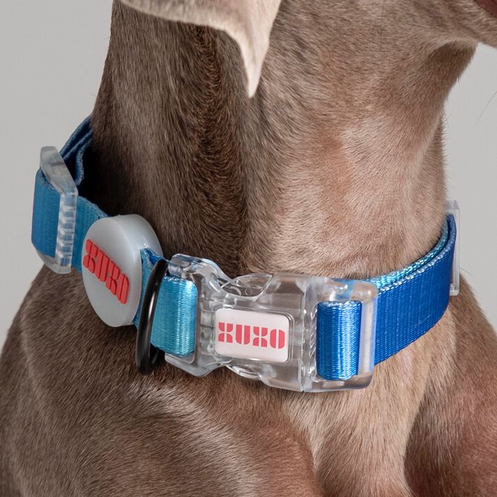 Collar NEON PARTY MIDNIGHT, , large Imagen numero 4