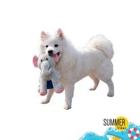 Summer Vibes Elefante Dolce Vita  Peluche para perros