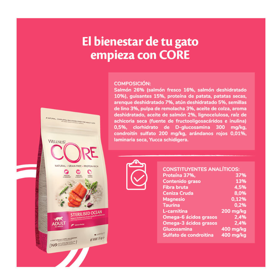 Wellness Core Adult Sterilised Ocean Salmón pienso para gatos thumbnail