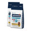 2 x 12 kg Advance Active Defense Sensitive Cordero y Arroz pienso para perros ¡Pack ahorro!, , large indicador imagen numero 1