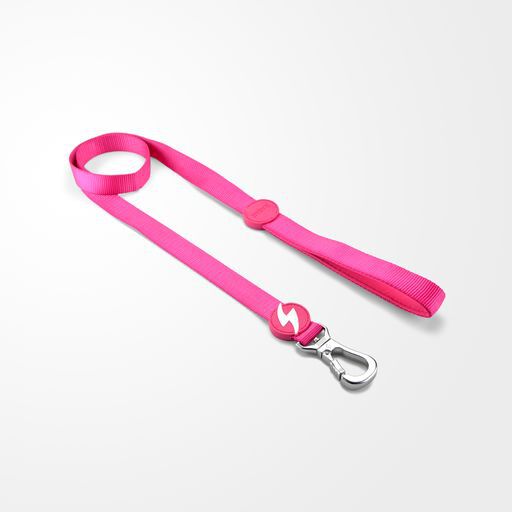 Correa de nylon para perro color Rosa, , large Imagen numero 2