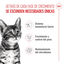 3.5 kg Royal Canin Kitten Sterilised pienso para gatos, , large indicador imagen numero 3