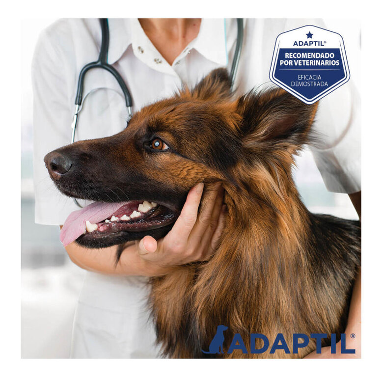 Adaptil Difusor Tranquilizante para perros, , large image number null