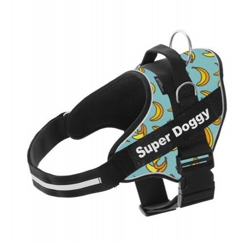 Arn&eacute;s Super Doggy personalizado estampado bananas color Azul, , large Imagen numero 1