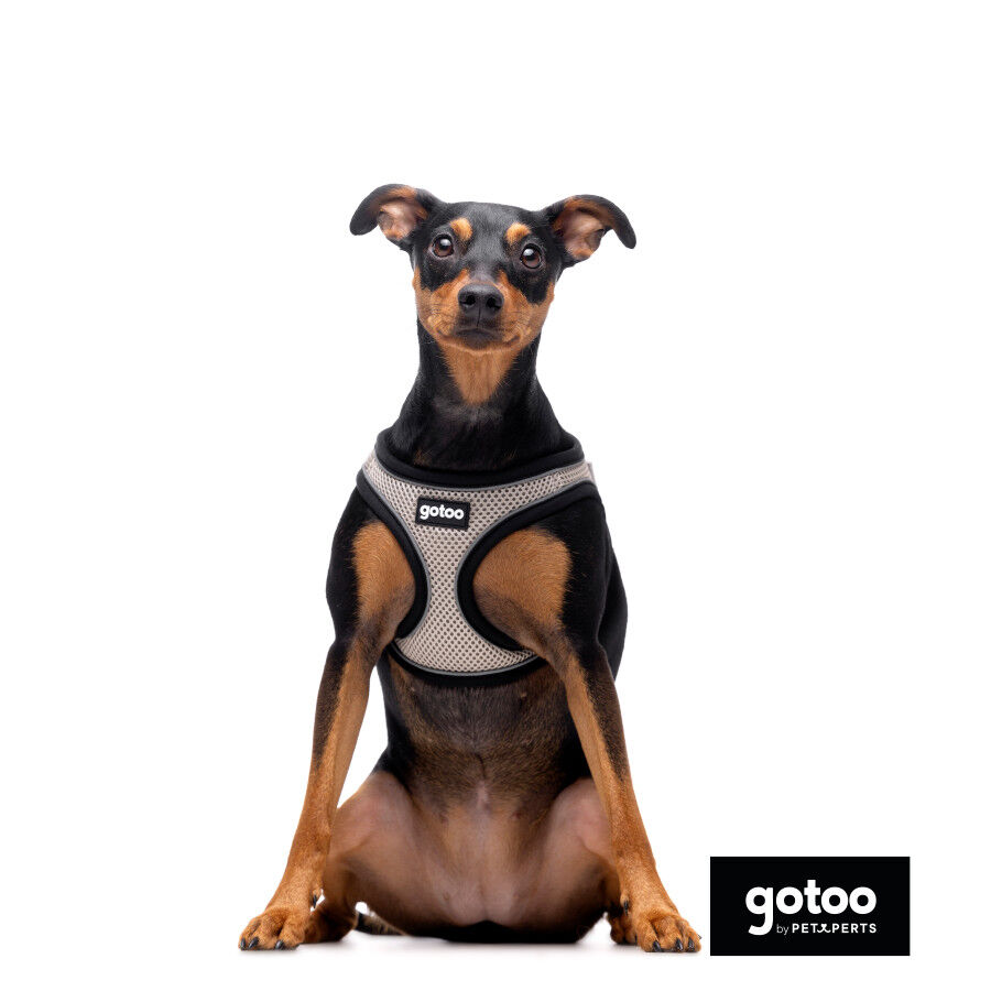 Gotoo Arnés ajustable de malla  gris para perros thumbnail