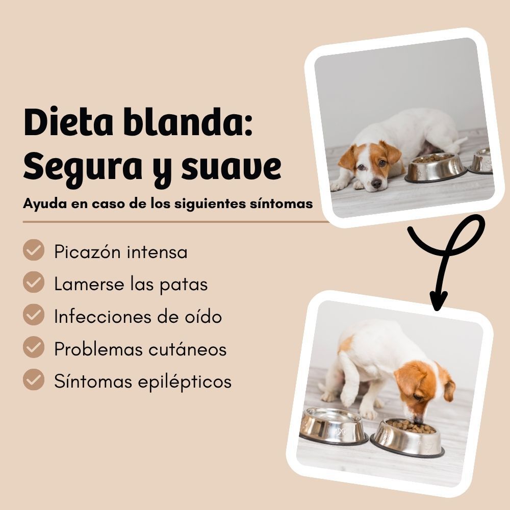 BugBell HighSensitive Pienso 5x800 g &ndash; Hipoalerg&eacute;nico, sin cereales, con prote&iacute;na de insecto, tapioca, aceite de colza y lino, , large Imagen numero 4