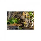 Exo-Terra Cueva Calendario Azteca Peq, , large image number null
