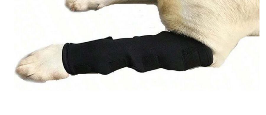 Protector Articular Delantero Talla M, , large Imagen numero 5