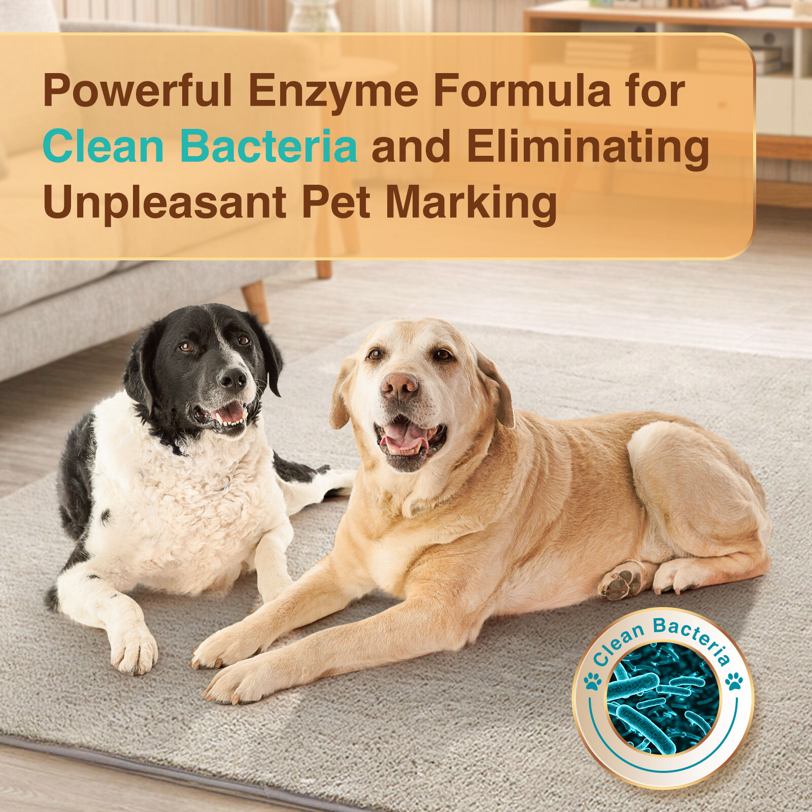 Nobleza - 2 &times; Spray Desodorante de Mascotas para Perros y Gatos Duradero, Eliminador de Olores Mascotas Sin Alcohol, Desodorizaci&oacute;n Suave, para Mascotas, Gatos, Perros,500 ml, , large Imagen numero 3