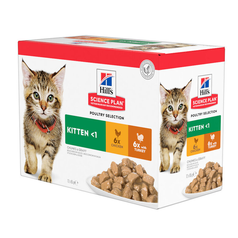 48 sobres x 85 g Hill's Science Plan Kitten Pollo y Pavo en Salsa sobre para gatos ¡Pack ahorro!