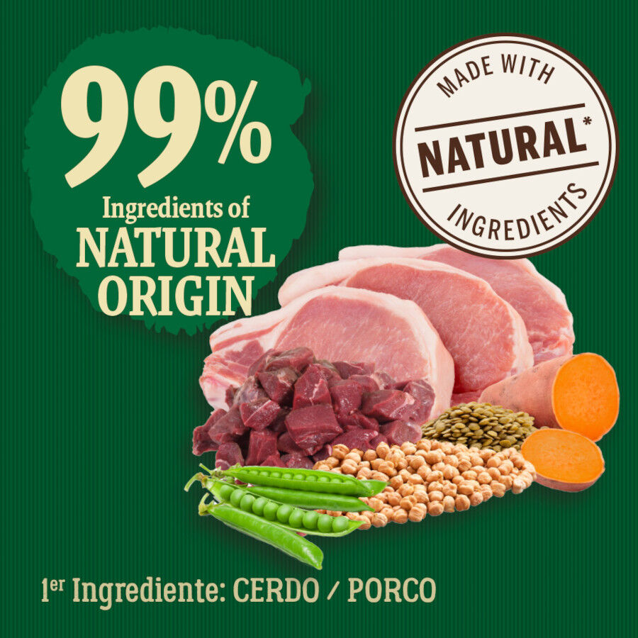 True Origins Wild Maxi Farm Cerdo pienso para perros, , large Imagen numero 3