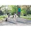 Petsafe sistema de adiestramiento apoyo educativo para perros, , large indicador imagen numero 4