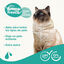 Beaphar Champú Extra Suave para gatos, , large indicador imagen numero 3