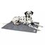 Alfombra refrigerante para perros color Gris, , large indicador imagen numero 2