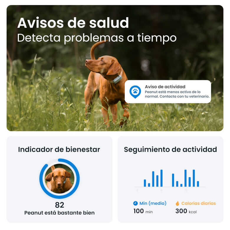 Tractive GPS Dog 6 Negro Rastreador para perros thumbnail