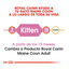 10 kg Royal Canin Kitten Maine Coon pienso para gatos, , large indicador imagen numero 6