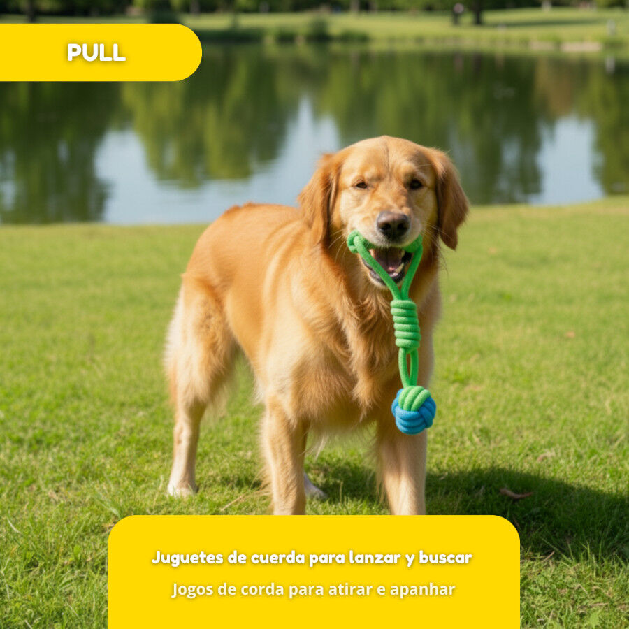 Tootoy! Modedor para Tirar de Cuerda con Pelota Verde y Azul para perros, , large Imagen numero 5