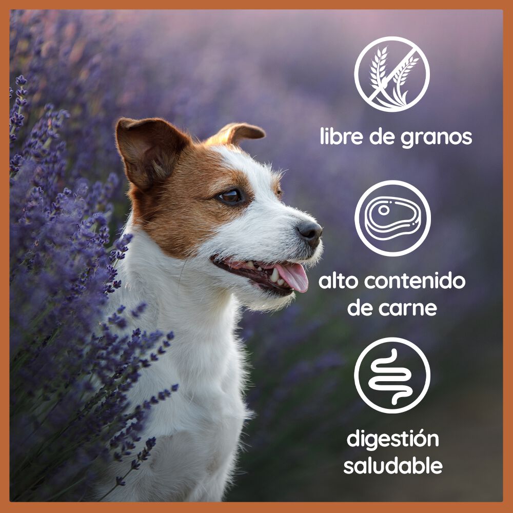 Wildfang Menú Barf Pollo Puro para perros thumbnail