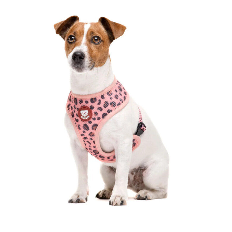 Dukier Arn&eacute;s Reversible Estampado Leopardo para perros, , large Imagen numero 2