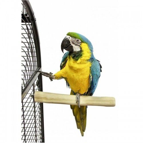 Percha Java grande para loros color Marrón