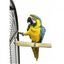 Percha Java grande para loros color Marrón, , large indicador imagen numero 1