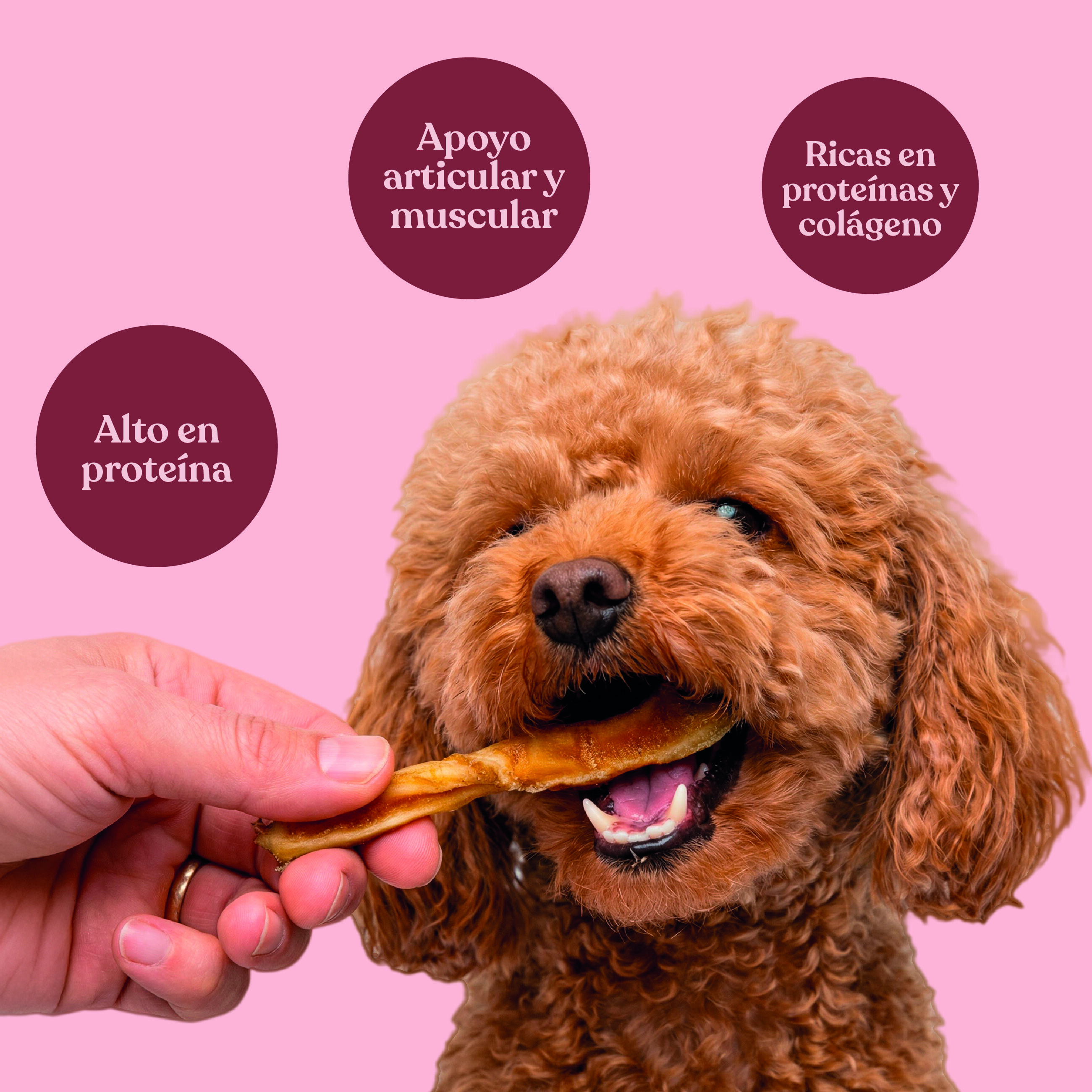 dr.bimix Palitos de Caravaca para Perros | Snack Natural de Vacuno, , large Imagen numero 3