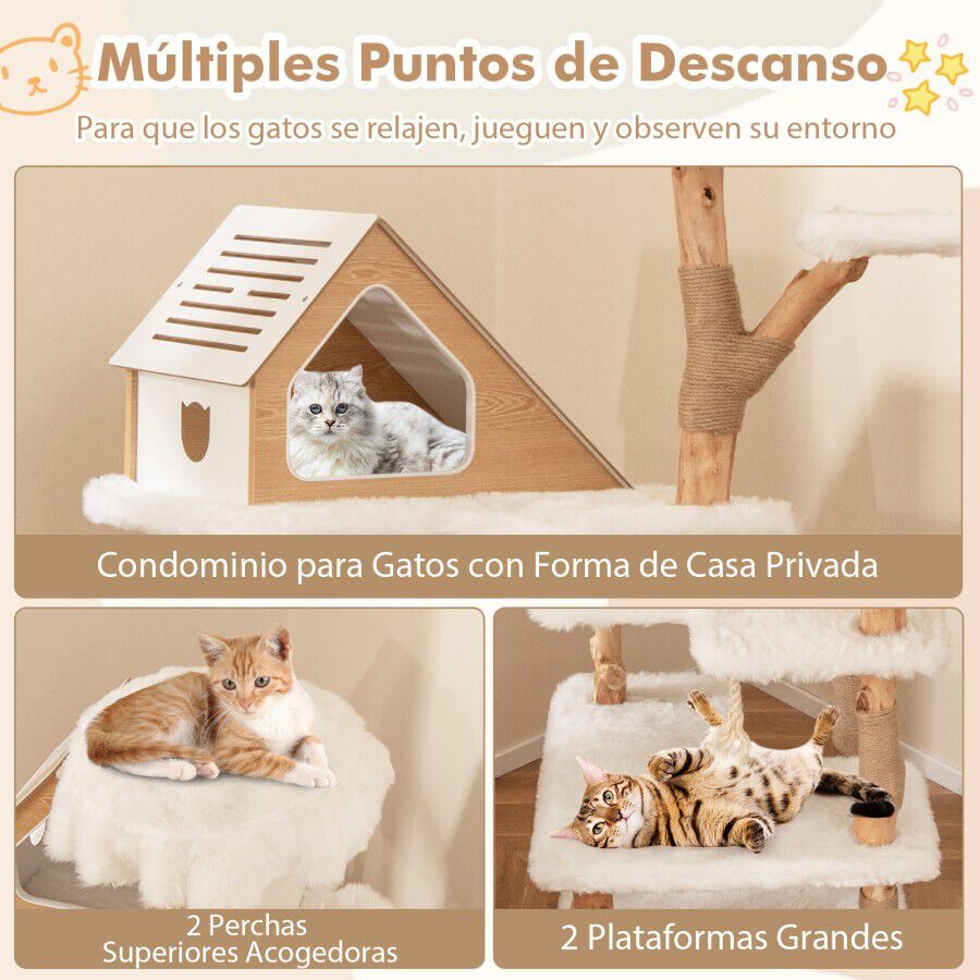 COSTWAY &Aacute;rbol para Gatos de Madera S&oacute;lida de 150 CM, Torre de Gato con 2 Percheros, Condominio, Postes de Jute, Cuerda de Sisal, Centro de Actividades de 5 Capas, Mueble de Escalada para Gatitos de Interior, , large Imagen numero 2