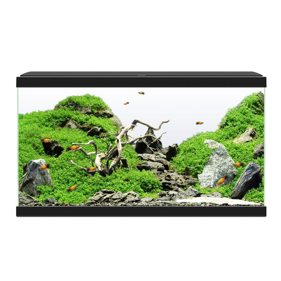 Ciano Aqua Led 60 Negro acuario con luz led, filtro y calentador, , large Imagen numero 2