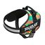 Arnés Julius K9 Reggae Canis para perros color Multicolor, , large indicador imagen numero 2