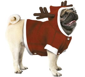 Guirca Disfraz de Reno de Papá Noel para perros