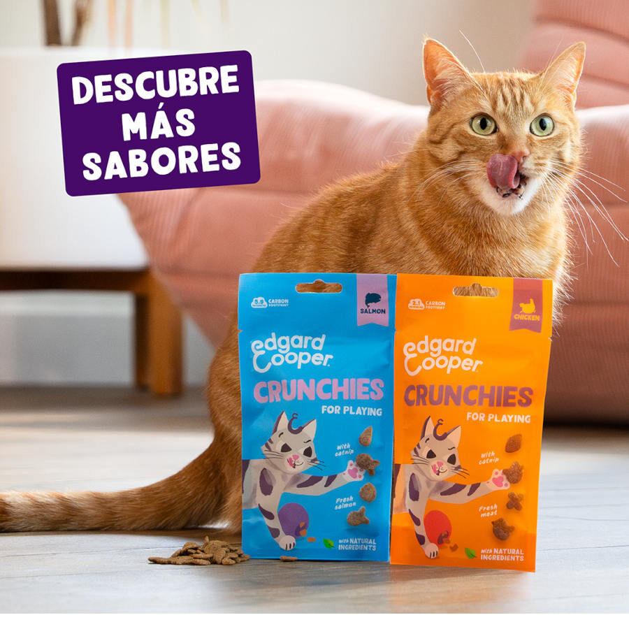Edgard &amp; Cooper Galletas Crunchies Salmon para gatos thumbnail