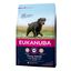 12 kg Eukanuba Senior Large Pollo pienso para perros, , large indicador imagen numero 1