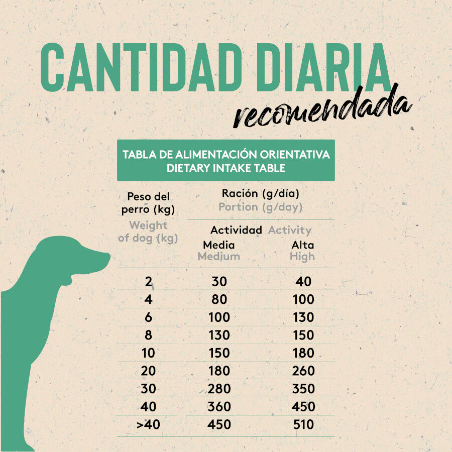 2 Kg Dibaq Sense Pienso Low Grain Light Pollo para cachorros, , large Imagen numero 2