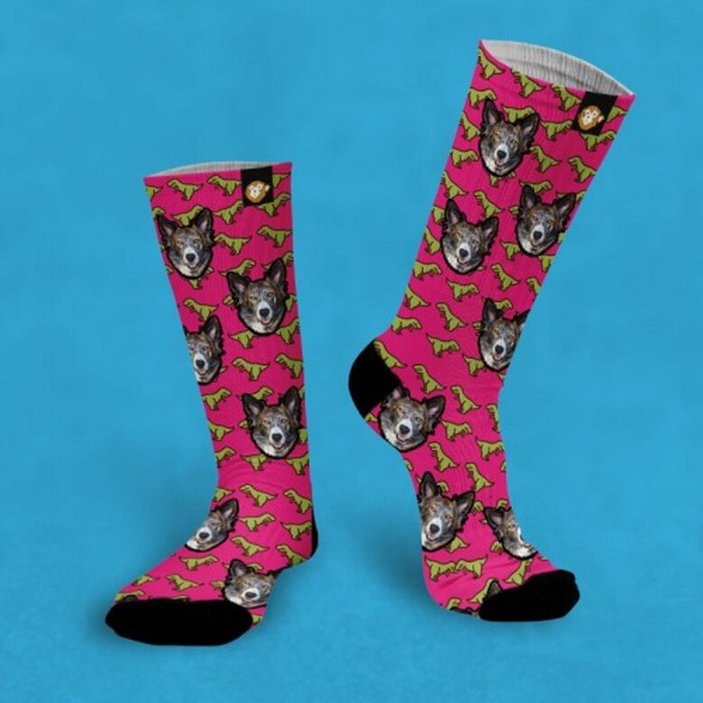 Calcetines personalizados Dino 3 mascotas color Rosa, , large image number null