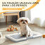PawHut Inodoro para Perros Arenero para Perros con Bandeja para Entrenamiento de Cachorros en Exterior e Interior 63x48,5x6 cm Gris, , large indicador imagen numero 4