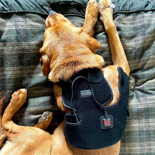 Arn&eacute;s de terapia t&eacute;rmica para hombro y cuello (S/M), , large Imagen numero 3