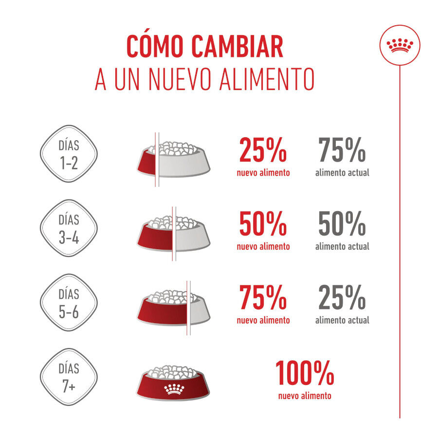 Royal Canin Kitten pienso para gatos thumbnail