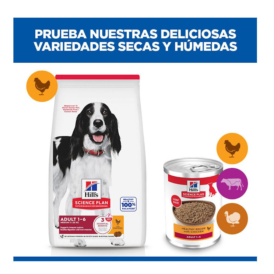 48 latas x 370 g Hill's Science Plan Adult 1-6 Pollo, Pavo y Ternera lata para perros &iexcl;Pack ahorro!, , large Imagen numero 9