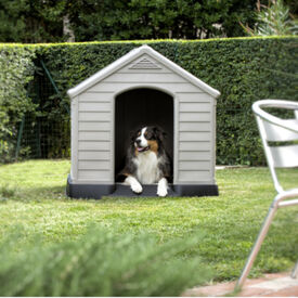 Curver Caseta para perros