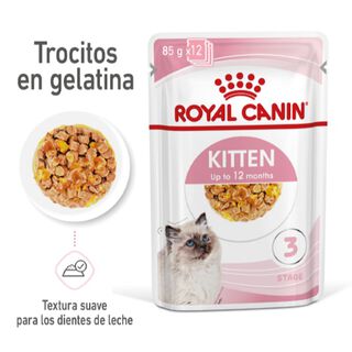 Royal Canin Kitten comida húmeda en gelatina sobre para gatitos