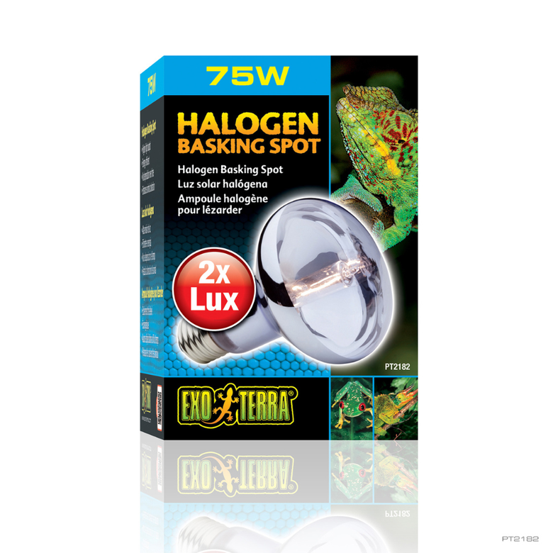 Exoterra Bombilla para reptiles Halogen Basking Spot thumbnail