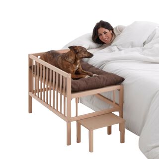 Cool Dreams Pet Cama elevada de madera con escalera para mascota