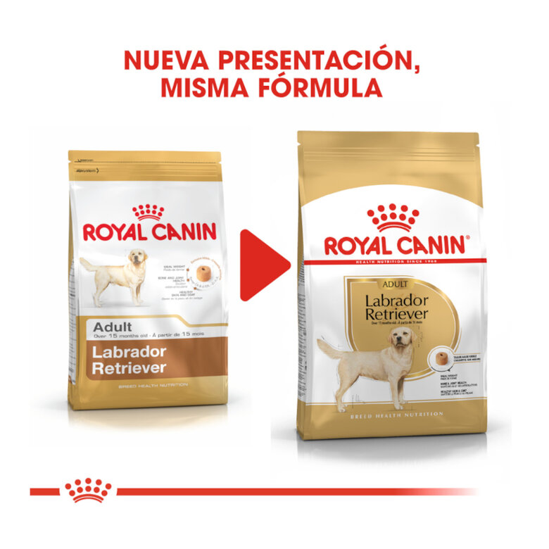 Royal Canin Adult Labrador Retriever pienso para perros, , large image number null