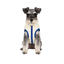 Goto Abrigo Reversible Acolchado para perros, , large indicador imagen numero 7