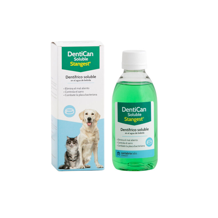 Stangest Dentican Dent&iacute;frico Soluble para perros y gatos, , large Imagen numero 1
