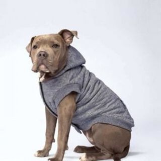 Abrigo Canada Pooch Cozy Caribou para perros color Gris