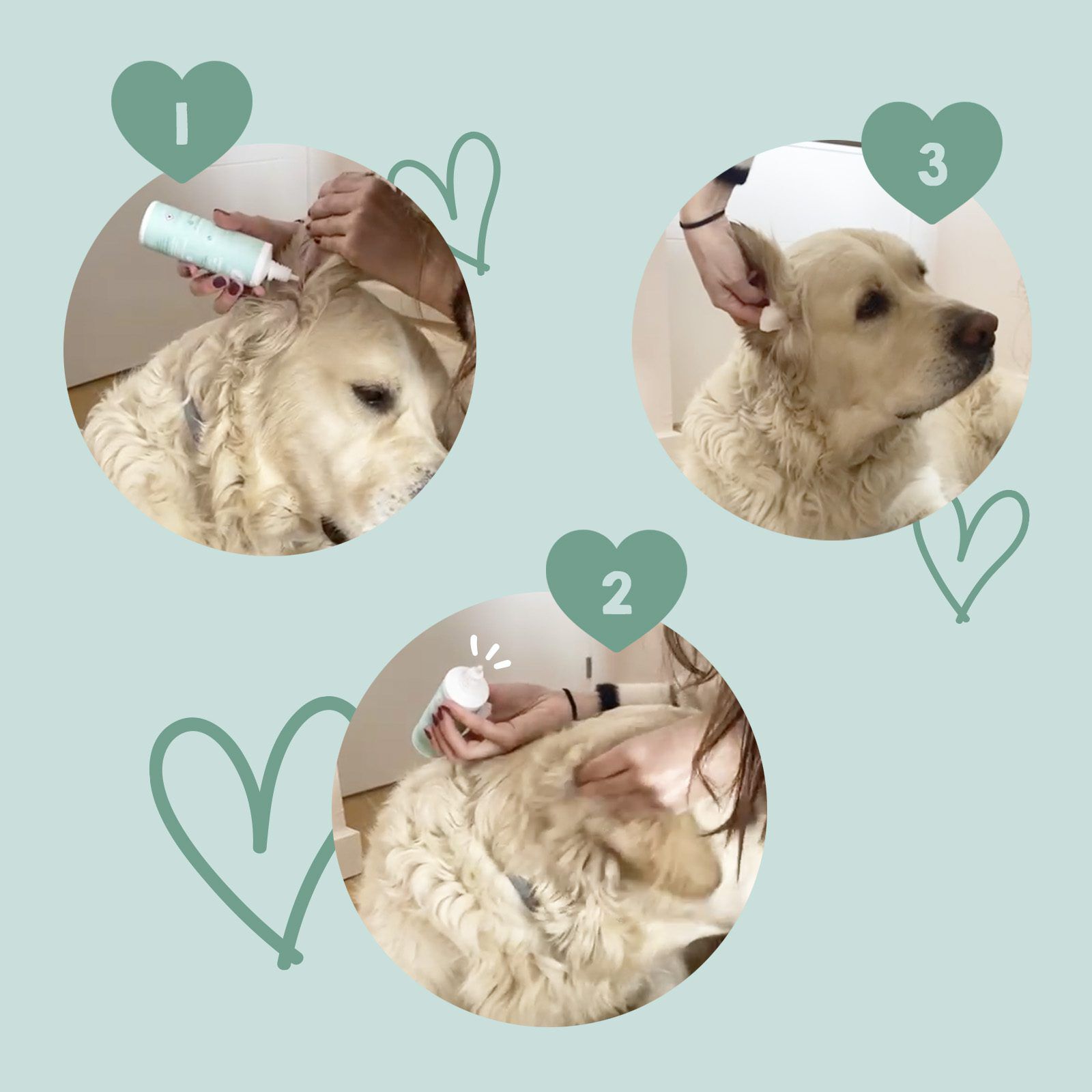 MAIKAI Limpiador de Oidos para Perros y Gatos - Gotas Oídos thumbnail