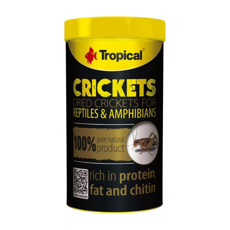 Tropical Crickets alimento para reptiles