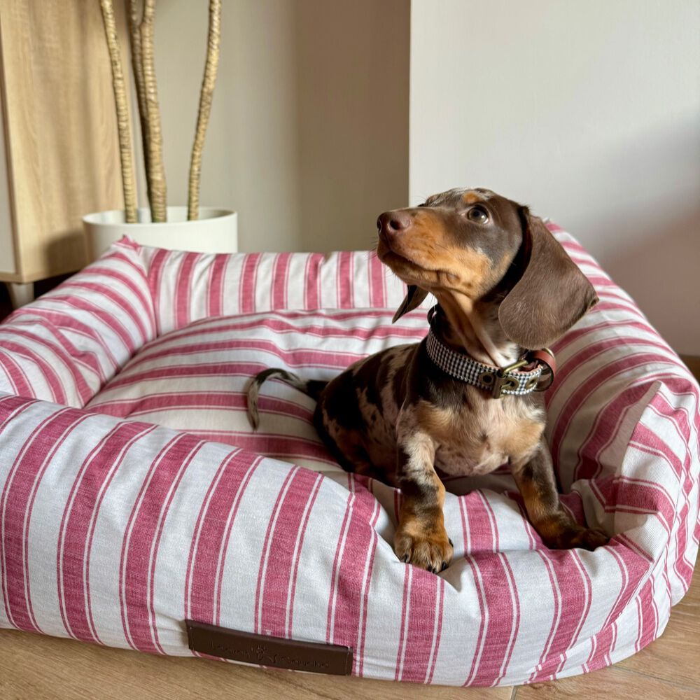 CAMA IMPERMEABLE CORF&Uacute; - GRANDE, , large Imagen numero 2